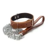 Dog collar in charm